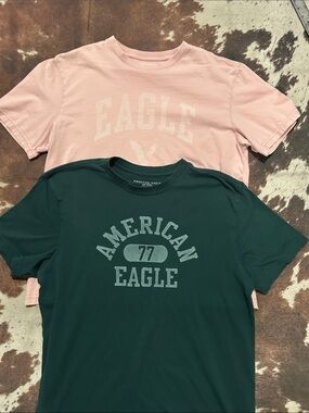 American Eagle Outfitters 2 Super Soft short-Sleeve Graphic Tees in Pink & Green